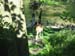 085 Nature